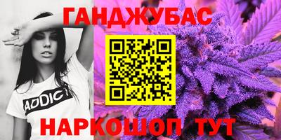 индика Гусев