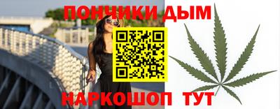 индика Гусев