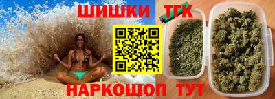 индика Гусев