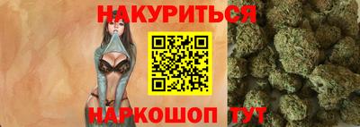 индика Гусев