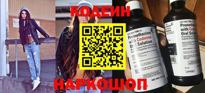 индика Гусев
