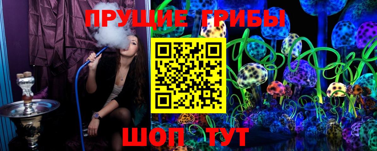 Егорьевск  купить наркотик  Псилоцибиновые грибы Magic Shrooms  Вход с VPN  Псилоцибиновые грибы GOLDEN TEACHER 