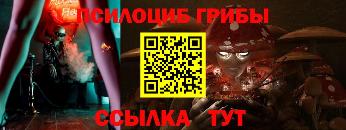Галлюциногенные грибы Psilocybe Егорьевск